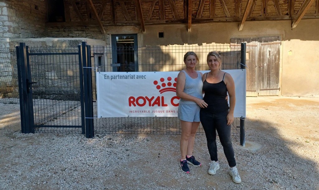 pension pour chiens et chats boule de poils